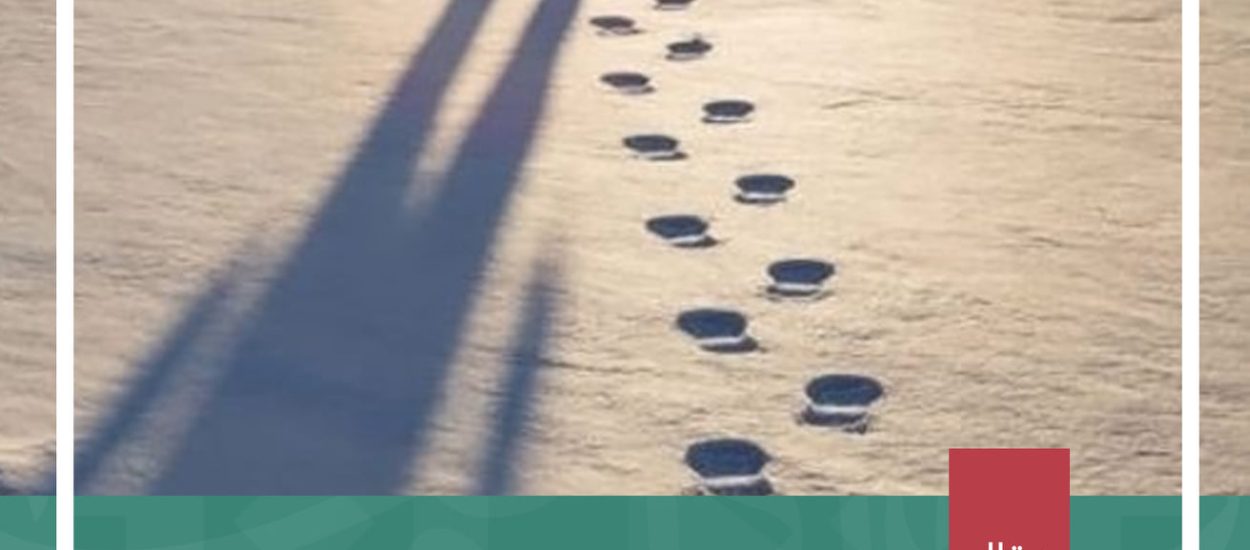 المغلوب مولع أبدا بالاقتداء بالغالب